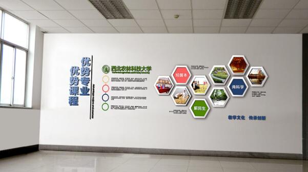 一般企業(yè)文化墻的尺寸是多大?(圖3) 大學教學企業(yè)文化墻設(shè)計